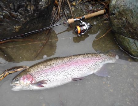 天竜川ルアーフライ専用区